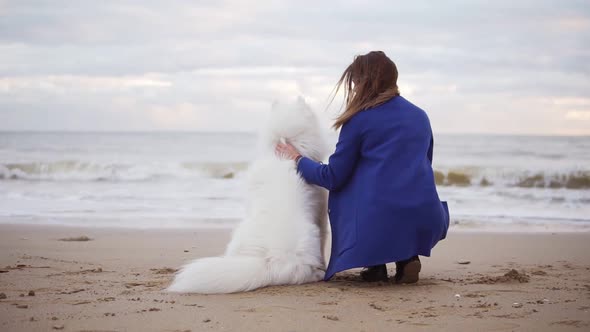 Back View of a White Samoyed and Young Woman Sitting Together on the Sand By the Sea