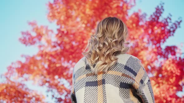 Slow Motion Back View Blonde Woman Enjoying Red Foliage on Sunny Cold Day