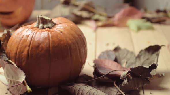 Ripe pumpkin and colorful Autumn leaves moving as breeze blows in