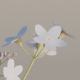 Forget-me-not flower - 3DOcean Item for Sale