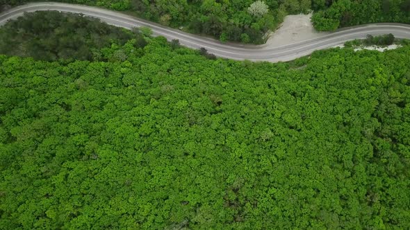 Aerial View From Above. Road in Mountain Forest Is Beautiful with Many Tree with Copy Space