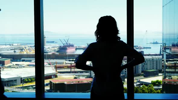 Silhouette of couple arguing near the window