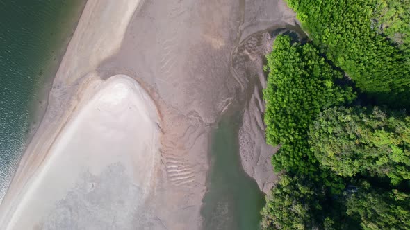 drone aerial top down view of a river during low tide revealing a sandbar and mangroves on a sunny d