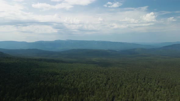 View from a height to the green taiga