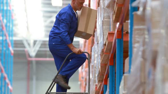 Male warehouse worker using ladder to arrange cardboard box