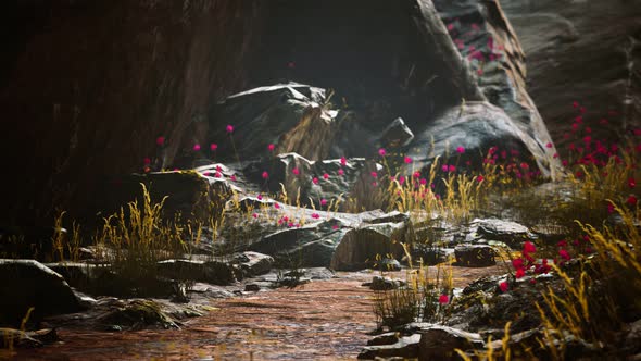 Gravel Path with Rocks in Mountains