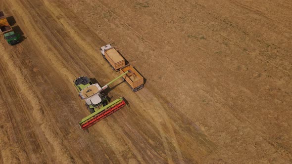 Combine Harvester Working In The Field.