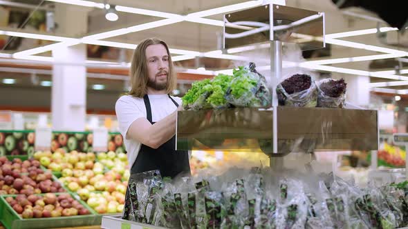 Worker Replenishes Products on the Shelves a Man Puts the Green Salad Packages on the Shelves in an