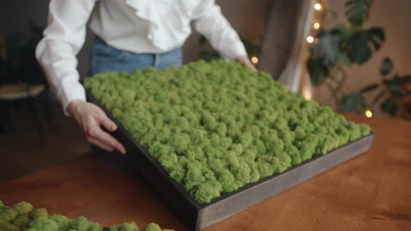 A Beautiful Young Girl Demonstrates a Large Moss Panel for Interior Decor