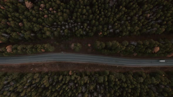 Road with cars between deep green forest in Ural