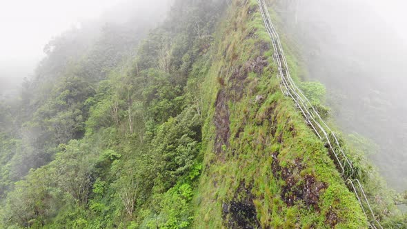 Aerial view of Stairway to Heaven (Haiku Trail) in Hawaii with stairs disappearing into the clouds