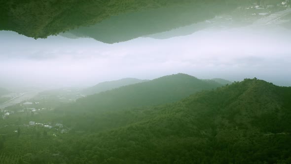 Aerial View of Green Forest Abstract Mirror Horizon Effect