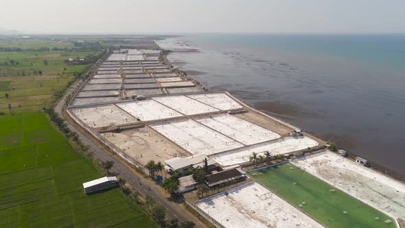 Shrimp Farming in Indonesia