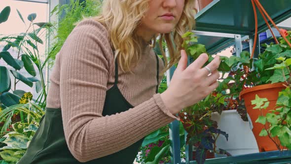 A Florist Girl with Curly Blond Hair Stands Near a Rack with Beautiful Evergreen Flowers Gently