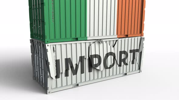 Container with Flag of Ireland Breaking Container with IMPORT Text alt