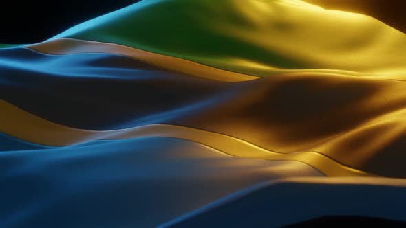 Tanzania - Stylized Flag