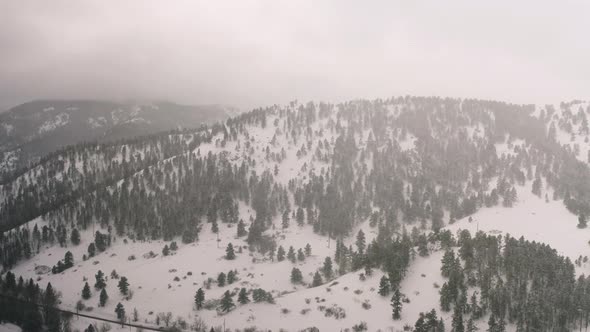 4k view of the forest, clouds and trees above the Rocky Mountains outside Boulder, CO on snowy day