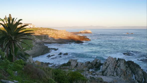 TimeLapse - Waves crashing into rocky coastline as sun is setting, palm tree in foreground, Hermanus