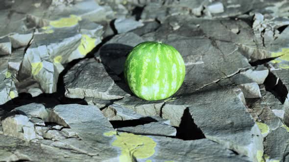 Watermelon Fruit Berry on Rocky Stones