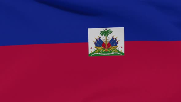 Flag Haiti Patriotism National Freedom Seamless Loop