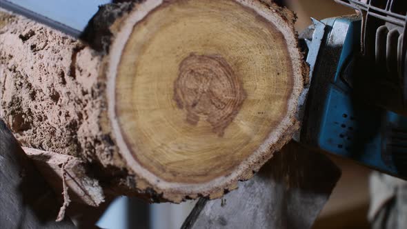 Man Is Sawing a Wood with an Electrical Chainsaw at Carpentry