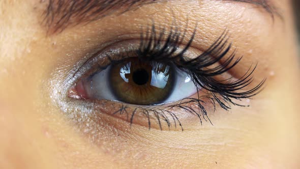 Closeup on a Female Eye