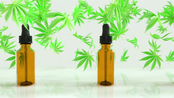 Seamless Loop of A lot of CBD oil bottles with marijuana or cannabis oil leafs in between. White bra