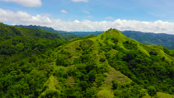 Hills and Mountains with Tropical Vegetation