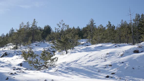 Winter scenery on  mountain  ranges of western Serbia 4K 2160p 30fps UltraHD footage - Famous Zlatib