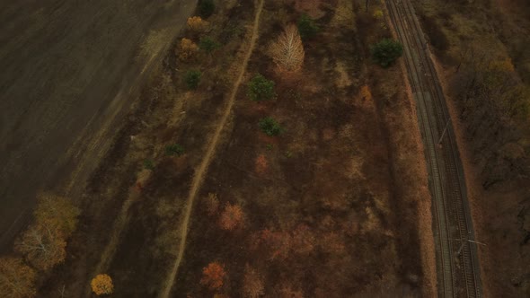 Aerial View of Trees Near Rail in Autumn Season