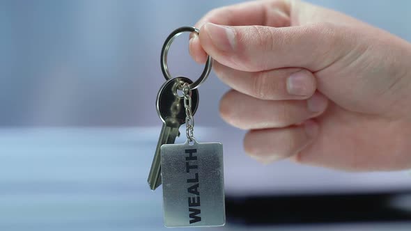 Wealth Word on Keychain in Businessman Hand, Successful and Reach Life, Close-Up