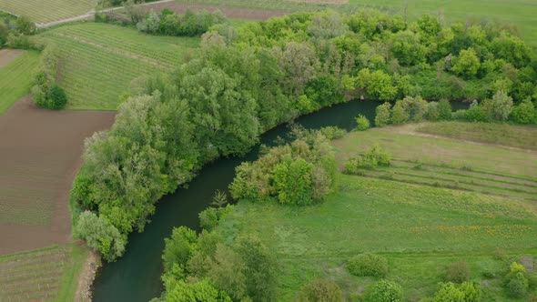 Drone shot of beautiful green nature colors. A peaceful river bank surrounded with trees, bushes, gr