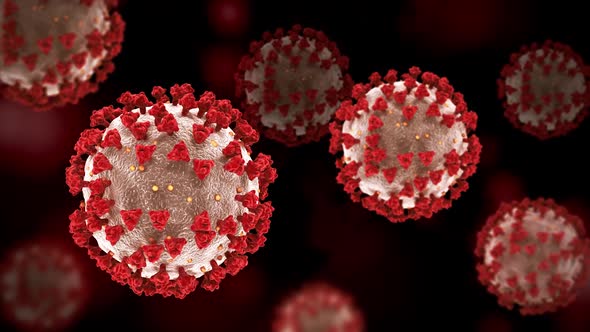 Virus Coronavirus