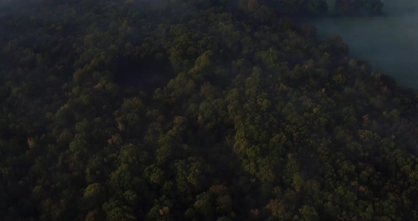 Top down aerial shot of dense Autumnal woodland, with thick fog and a pan up reveal of the horizon. 