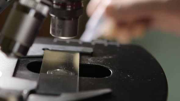 Scientist Studying Specimen With Microscope