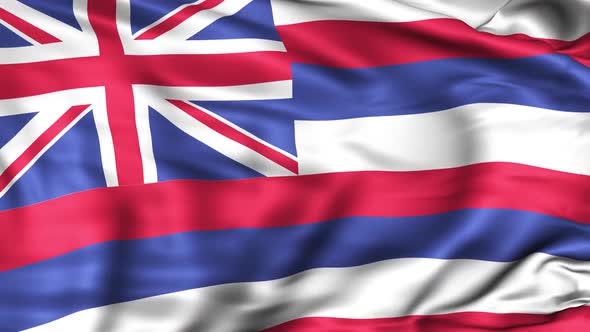 Hawaii State Flag