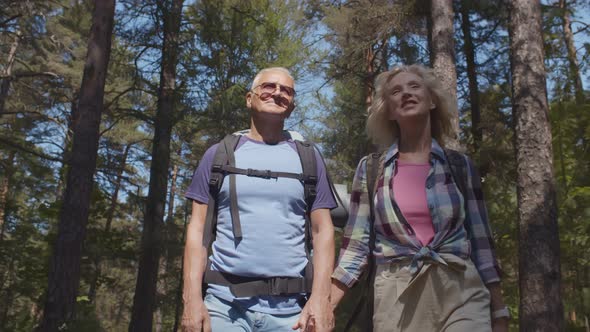 Active Senior Couple Holding Hands Enjoying Hike Trip in Beautiful Summer Forest