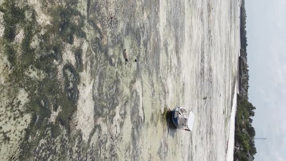 Vertical Video of the Beach on Zanzibar Island Tanzania Aerial View