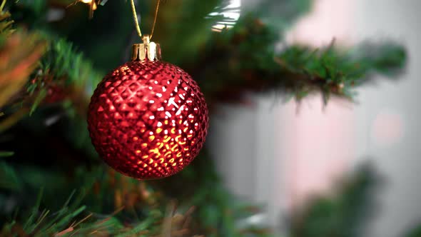 Red Christmas ball on a branch of a New Year tree on Christmas Eve.