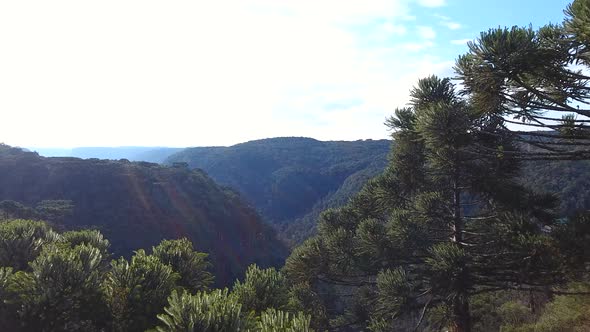 Aerial scene showing top of trees and a waterfall. Shoot in 4k. Location: Cascata do Caracol, Canel