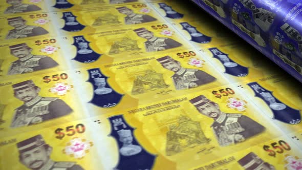 Brunei dollar money banknotes printing seamless loop