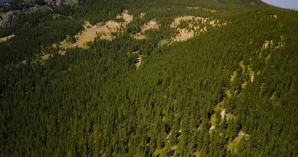 Aerial Daytime Wide Overhead Shot Of A Hiking Trail In Summer Pine Forest Tilts Up To Reveal A Rocky