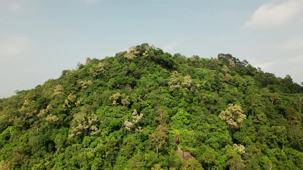 Dense forest vegetation on a mountain top then revealing coastline landscape in Ko Samui, Thailand