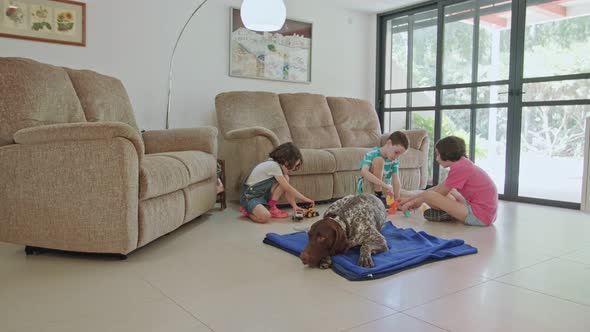 Three kids playing with a German pointer dog inside a house