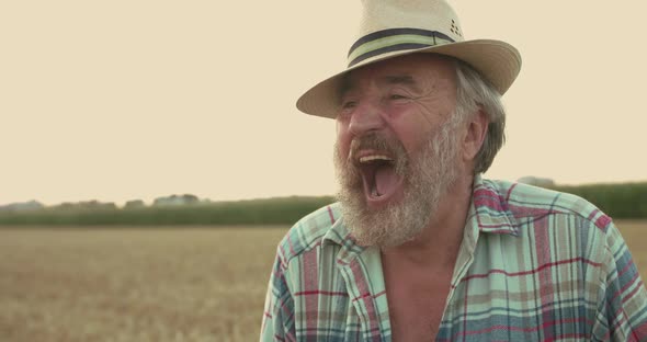 Portrait of Happy Senior Farmer Laughing and Shows a Thumb in Wheat Field