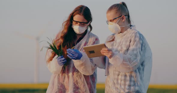 Two Agronomists Examining Crops in Field Agriculture