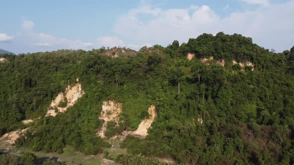 Clearing of tree near hill slope