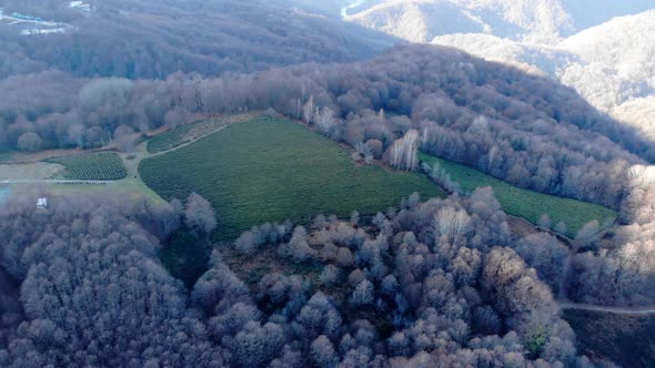 Drone Shot of Top View on Green Tea Plantation in Autumn