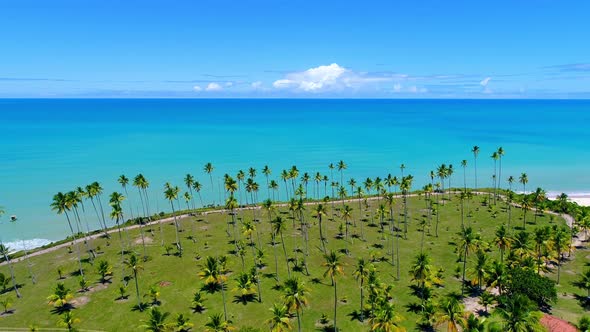 Cumuruxatiba beach at Porto Seguro Bahia Brazil. Tropical beach scenery