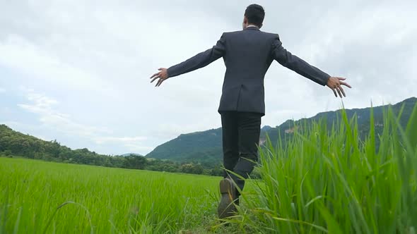 Enjoying Businessman Open Arms Walking On Rice Fields